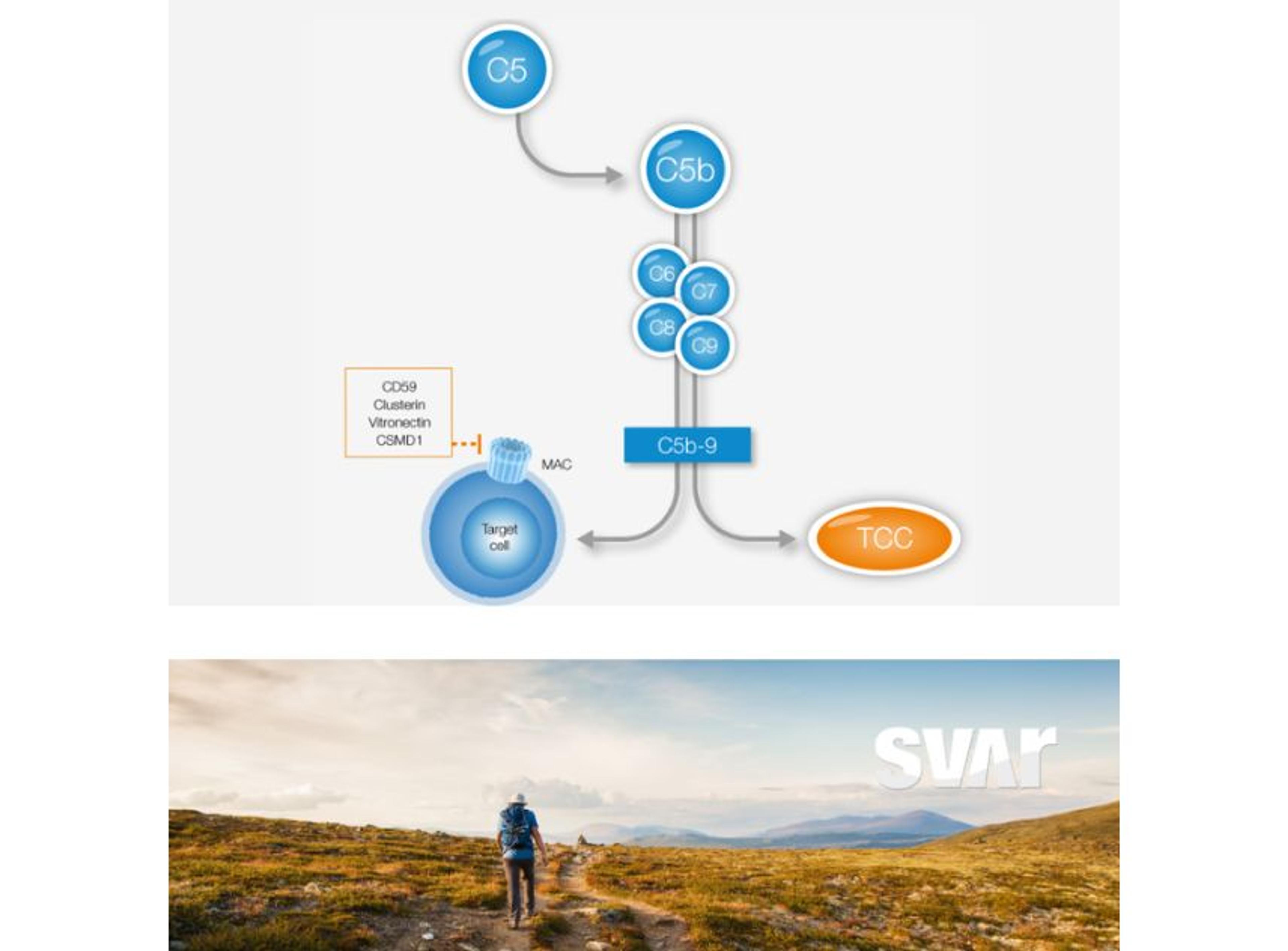 Complement TCC - Svar Life Science AB - Life Sciences