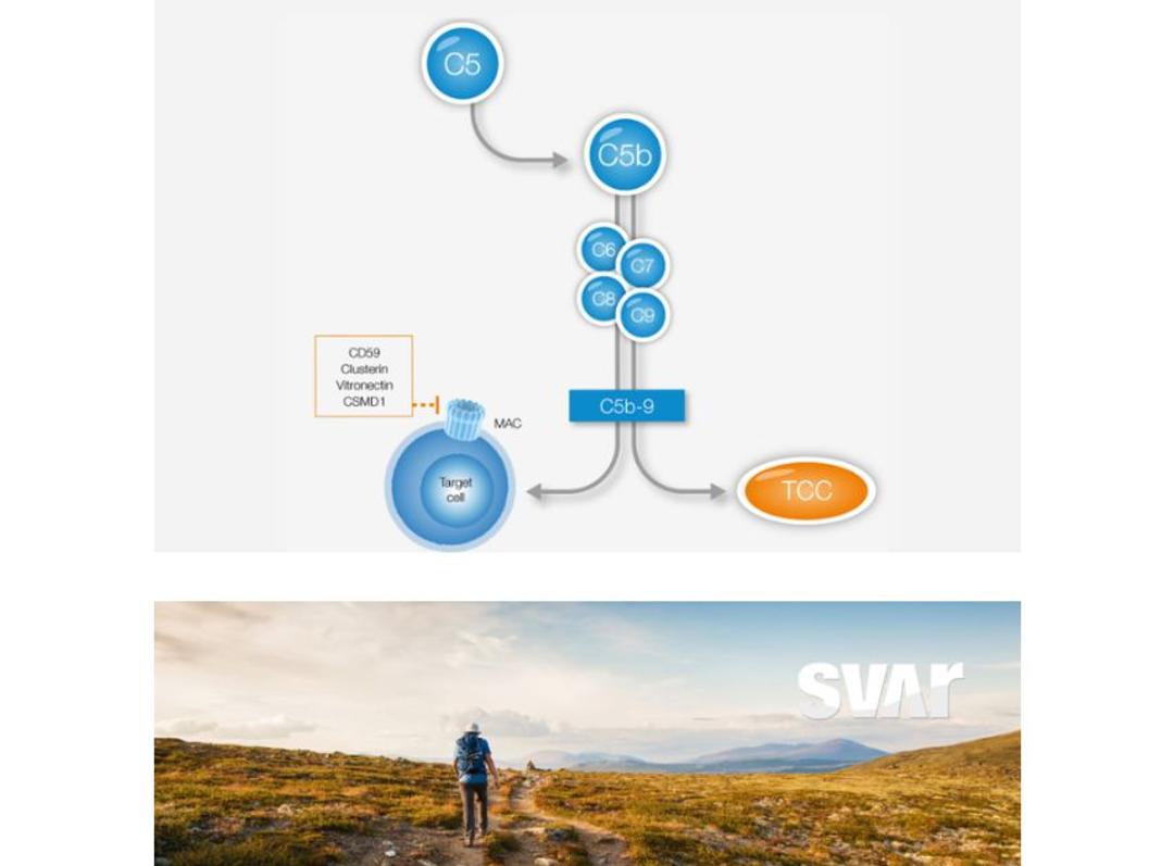 Complement TCC - Svar Life Science AB - Life Sciences