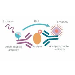 HTRF Assay - PerkinElmer - Life Sciences