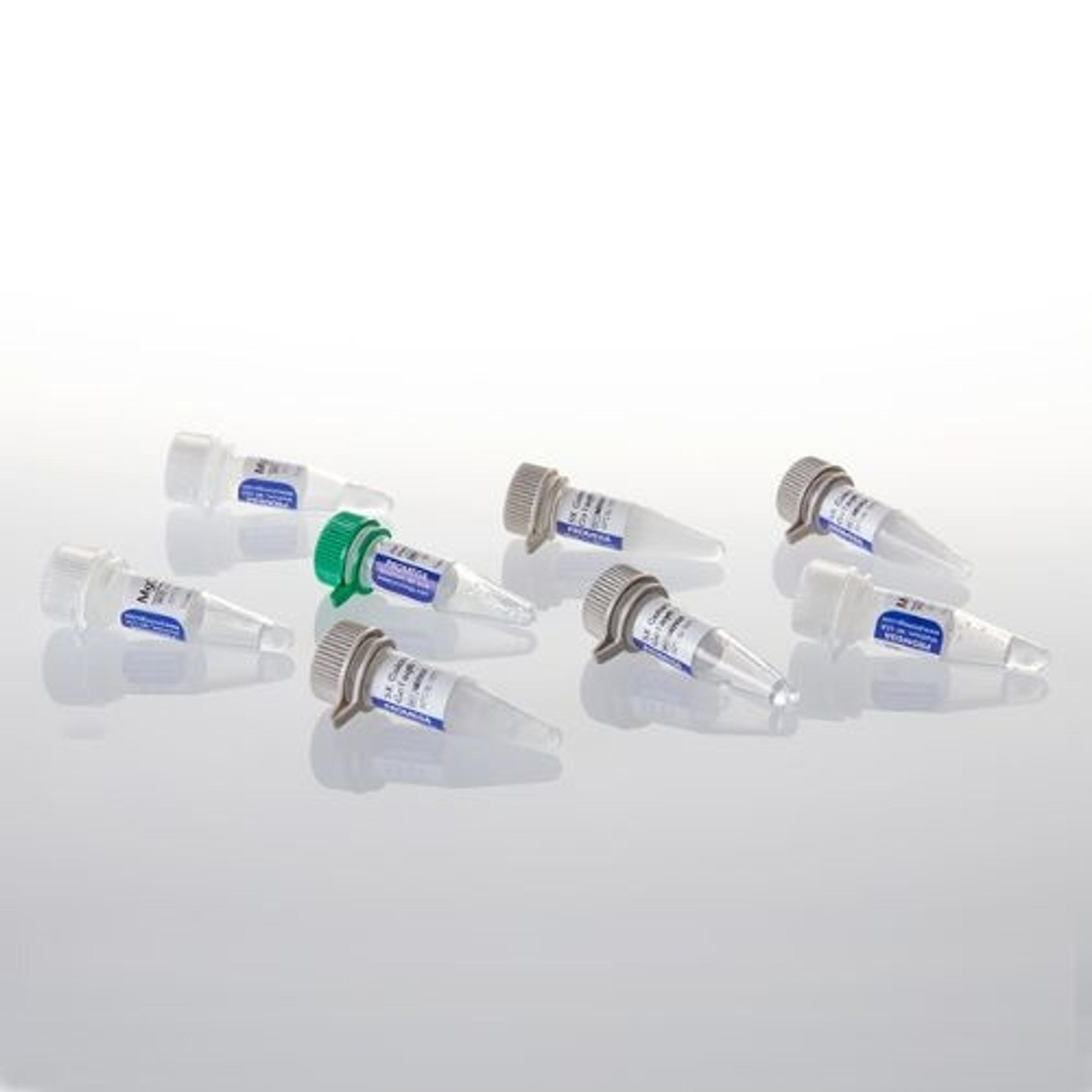 GoTaq® MDx Hot Start Polymerase, Glycerol-Free - Promega Corp. - Life Sciences