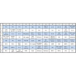 Human Cytokine Array C5 - RayBiotech Inc. - Life Sciences