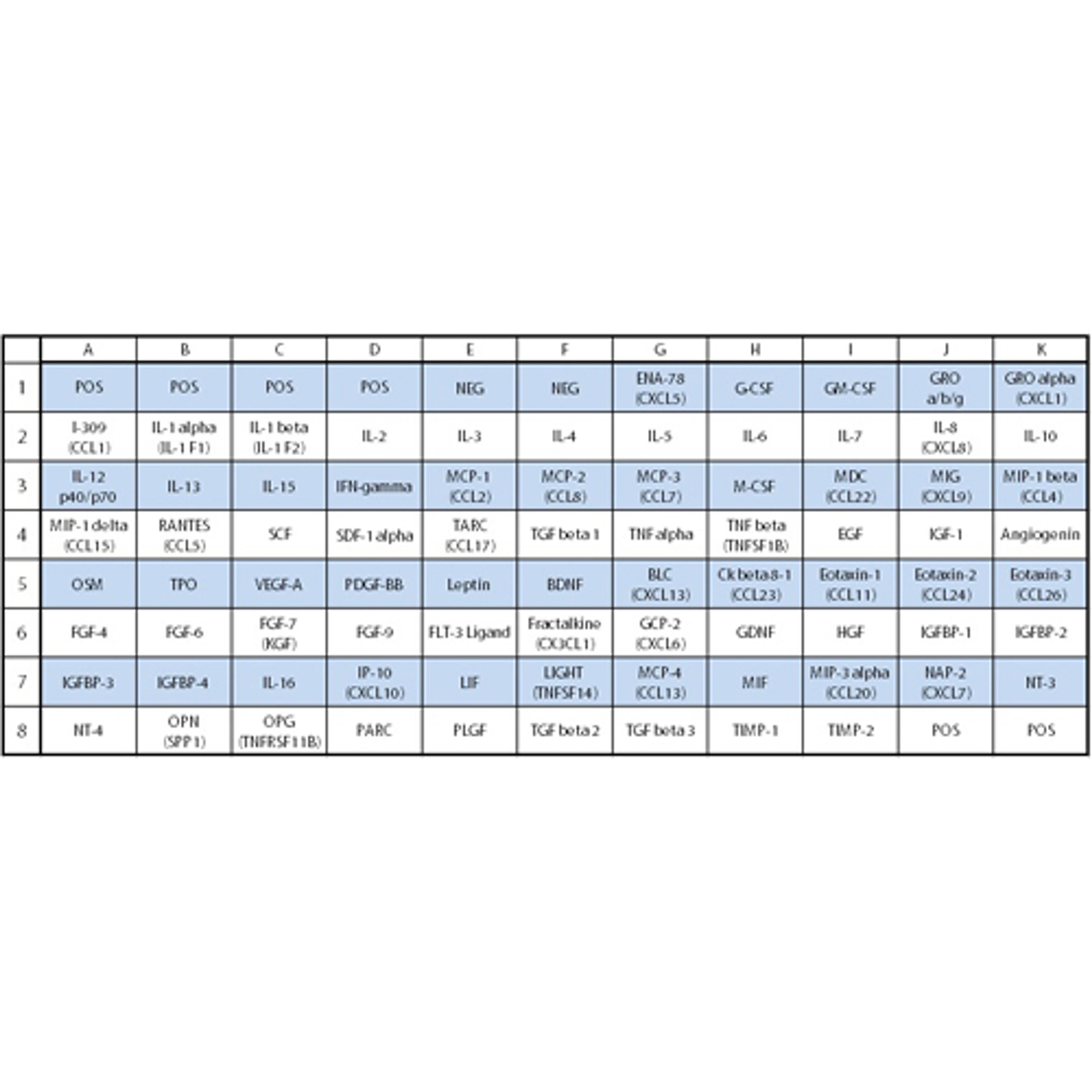 Human Cytokine Array C5 - RayBiotech Inc. - Life Sciences