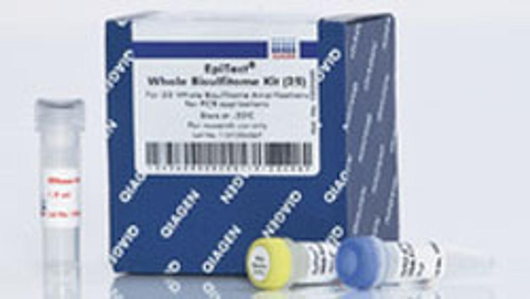 EpiTect Whole Bisulfitome Kit (25) - QIAGEN