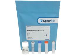 SPEAR UltraDetect™ NF-L Biomarker Assay Kit