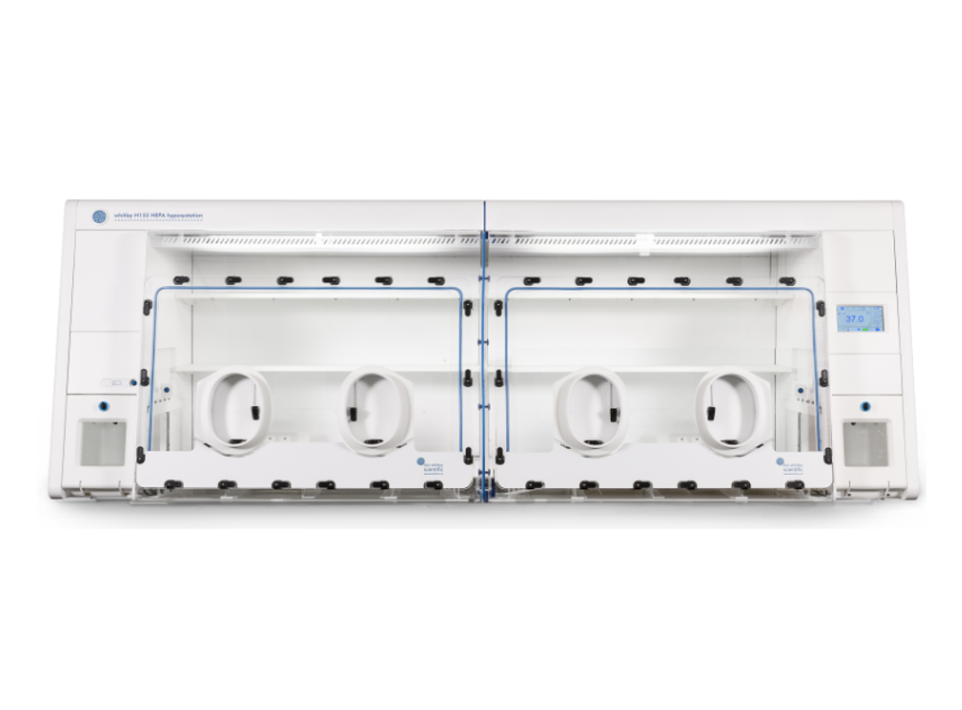 Whitley H155 HEPA Hypoxystation