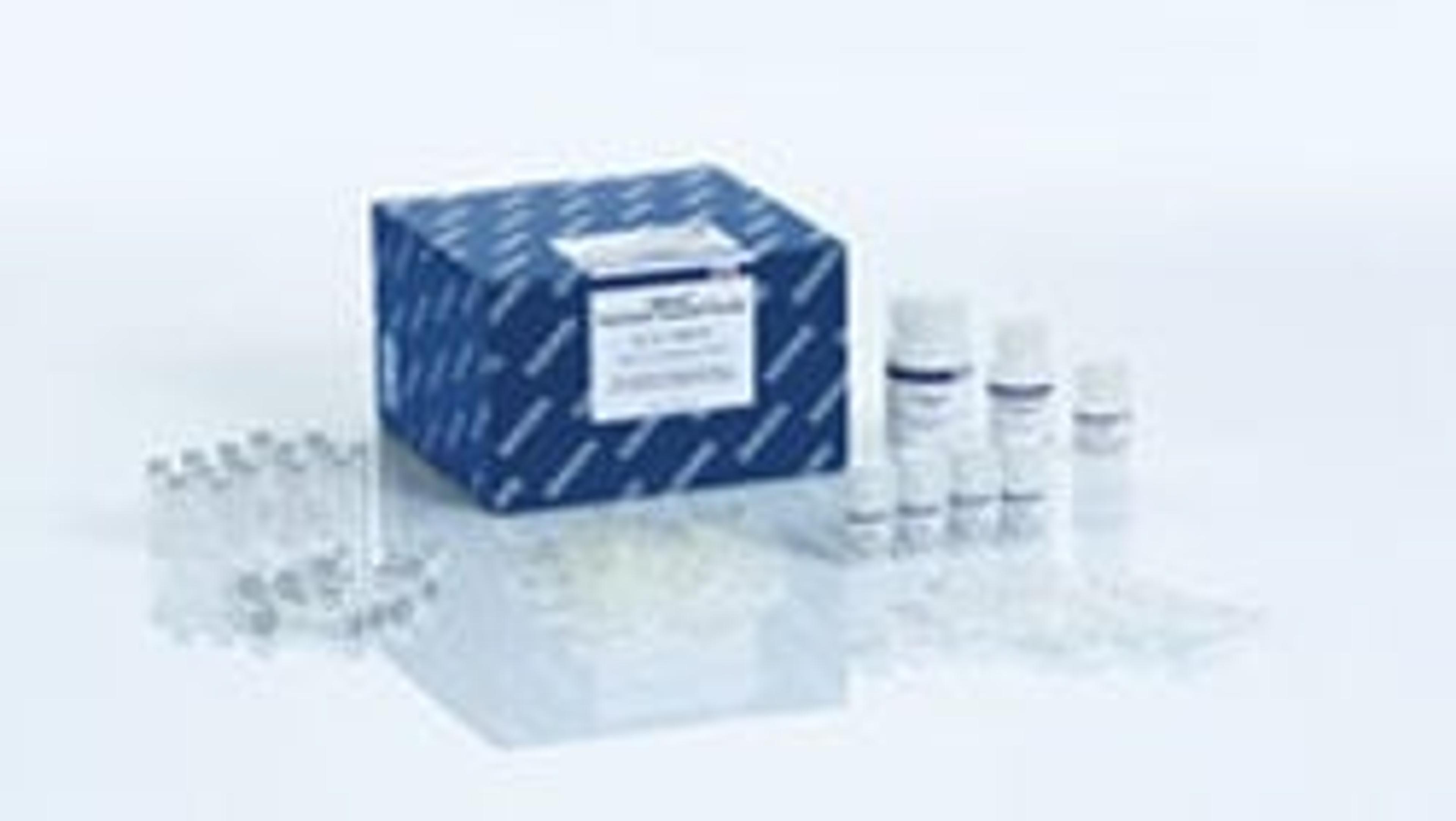 DNeasy PowerLyzer PowerSoil Kit (100) - QIAGEN