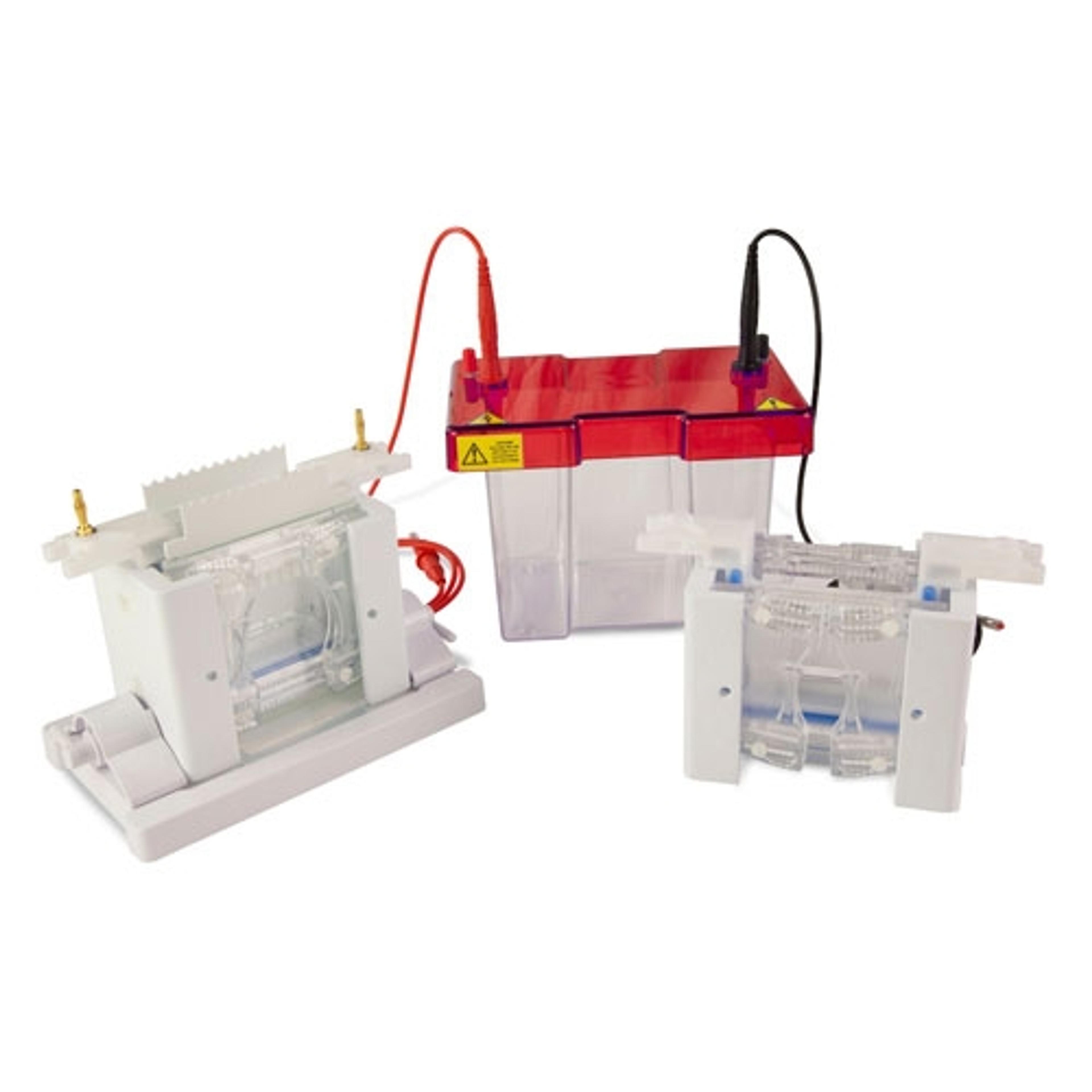 SynPAGE TETRAD - Syngene - Life Sciences