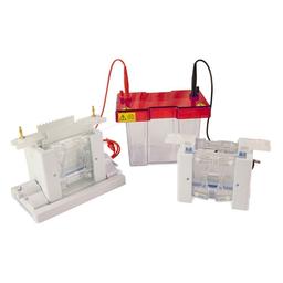 SynPAGE TETRAD - Syngene - Life Sciences