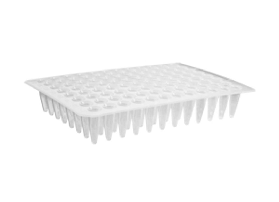 Axygen® 96-well Flat Top Polypropylene PCR Microplate, No Skirt, Clear, Nonsterile - Corning Life Sciences