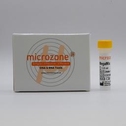 MegaMix - Microzone - Forensics