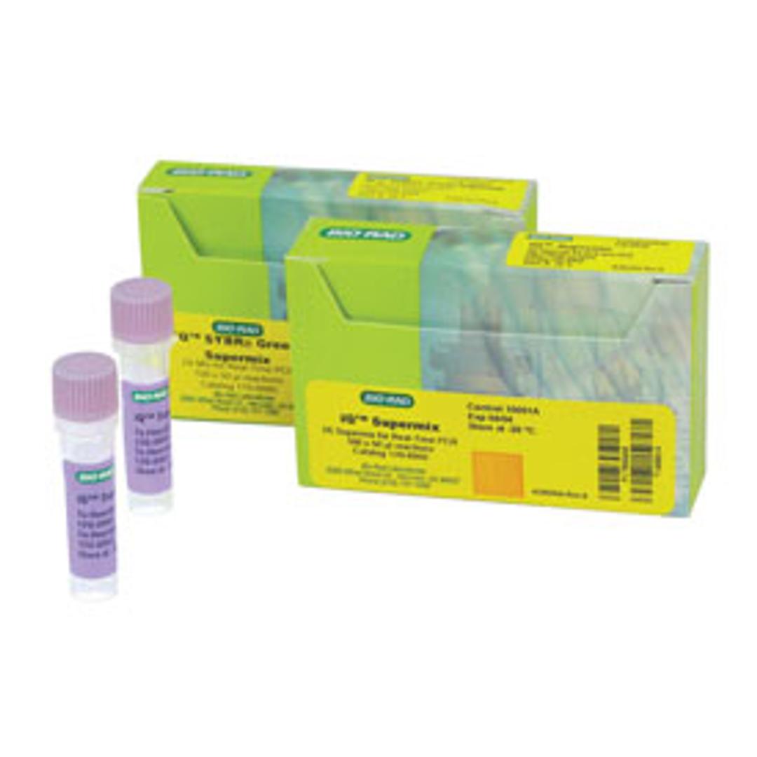 iQ™ Supermix, 100 x 50 µl rxns, 2.5 ml (2 x 1.25 ml) - Bio-Rad - Life Sciences