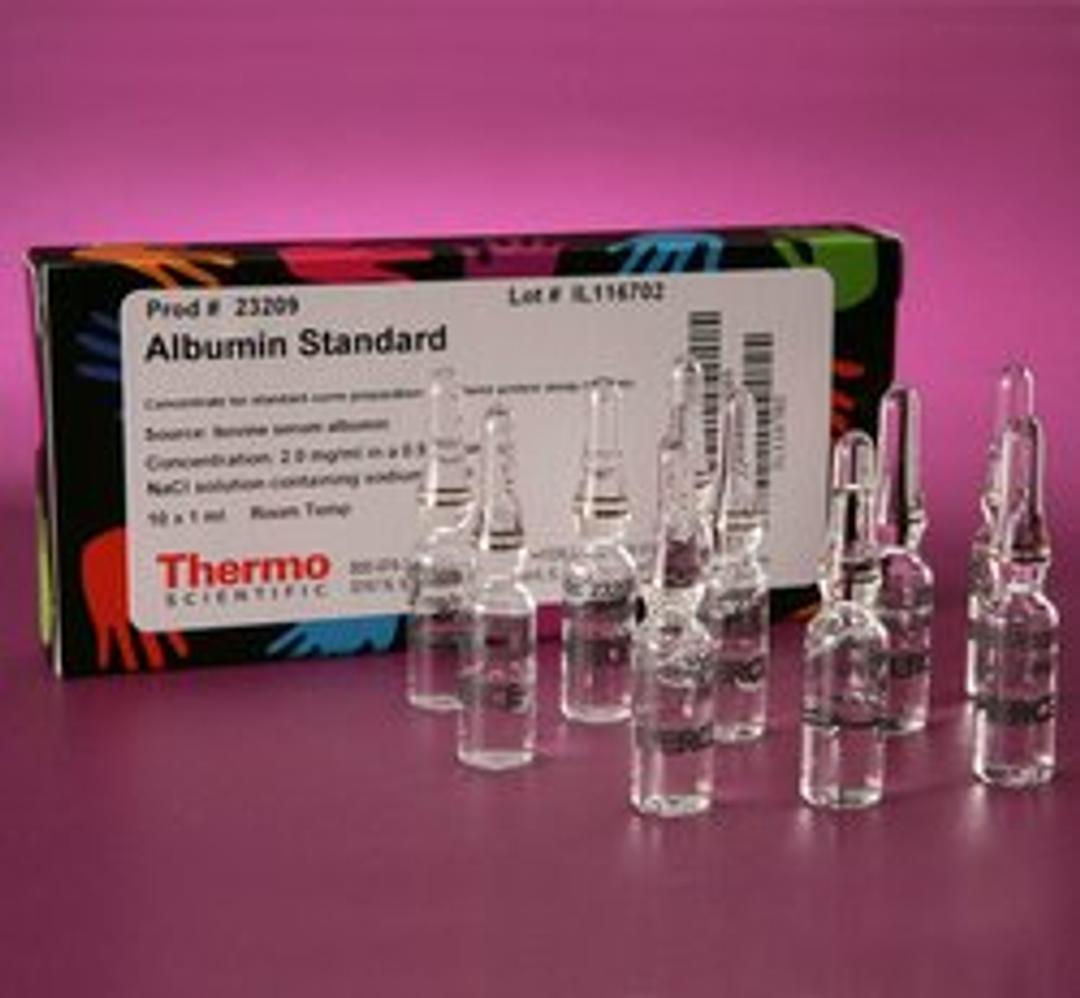Thermo Scientific™ Pierce™ Bovine Serum Albumin Standard Ampules, 2 mg/mL - Thermo Fisher Scientific - Life Sciences