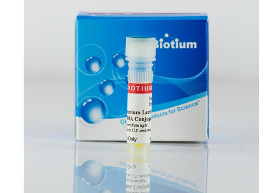Datura Stramonium Lectin (DSL) Conjugates - Biotium - Life Sciences