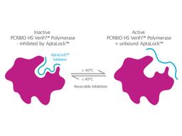 AptaLock hot start technology