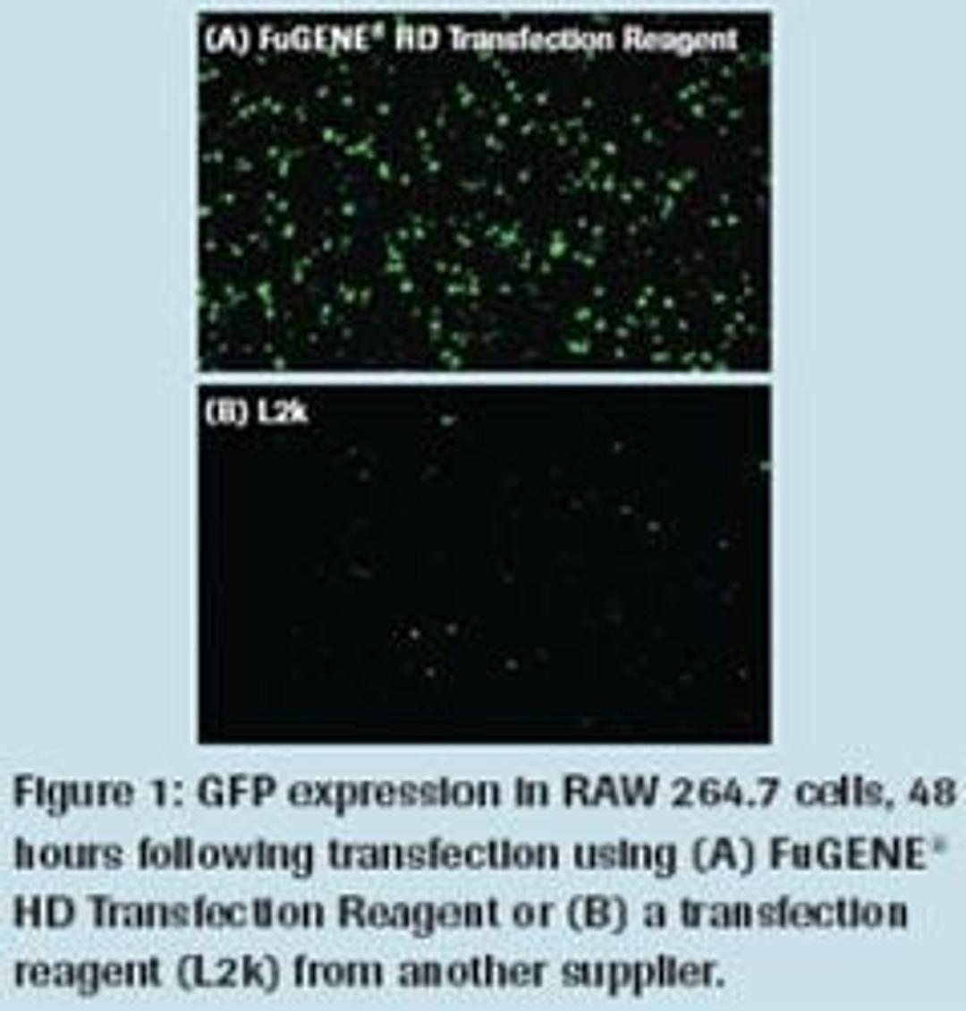 FuGENE® HD Transfection Reagent - null - Life Sciences