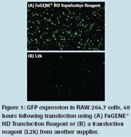 FuGENE® HD Transfection Reagent - null - Life Sciences
