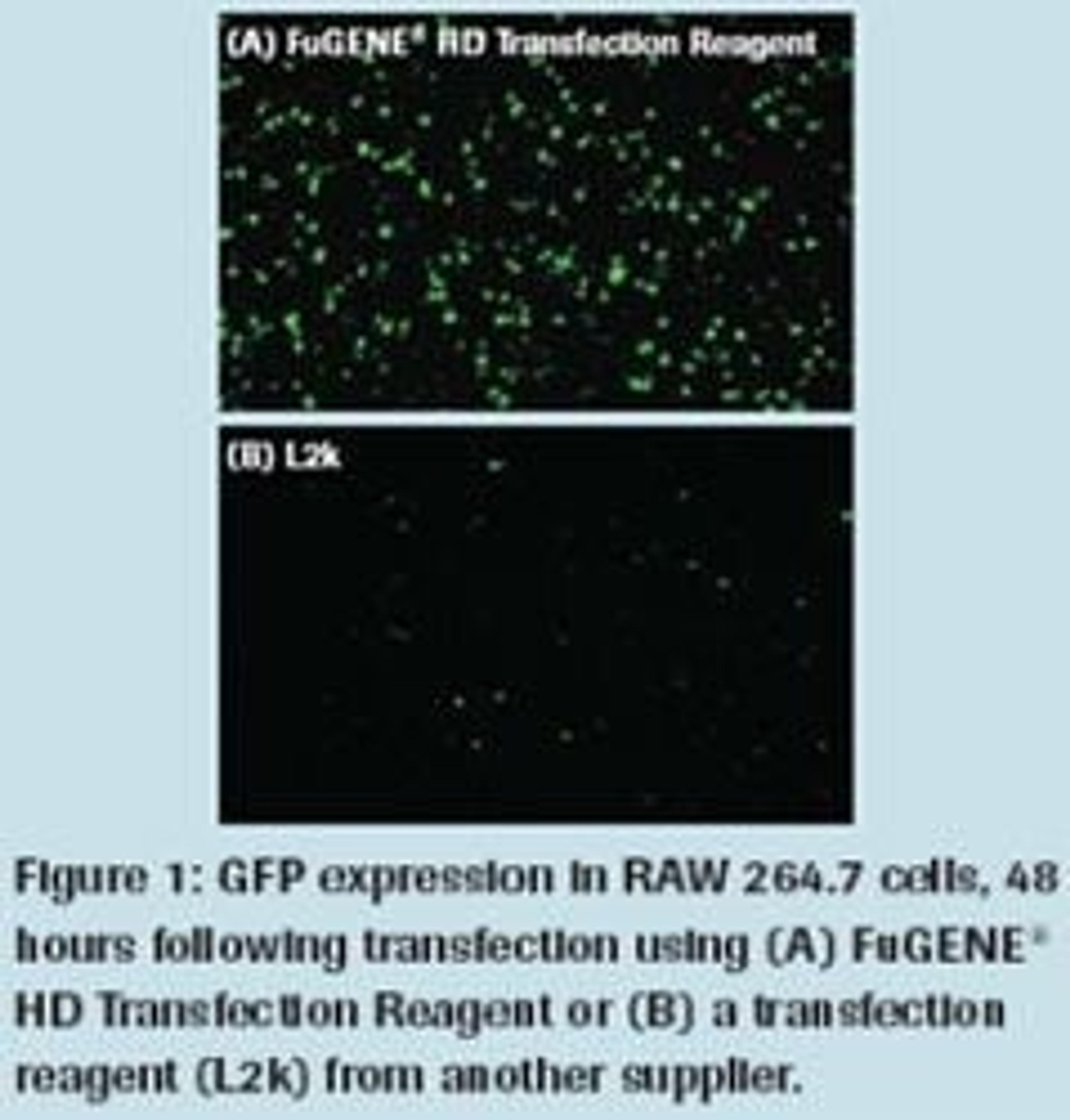 FuGENE® HD Transfection Reagent - null - Life Sciences