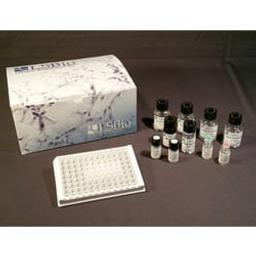 Human TP53 / p53 ELISA Kit (Sandwich ELISA) - null - Life Sciences