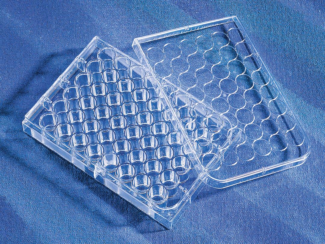 Corning® CellBIND® 48-well Multiple Well Plates, Flat Bottom, Clear, with Lid, Sterile - Corning Life Sciences - Life Sciences