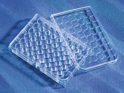 Corning® CellBIND® 48-well Multiple Well Plates, Flat Bottom, Clear, with Lid, Sterile - Corning Life Sciences - Life Sciences