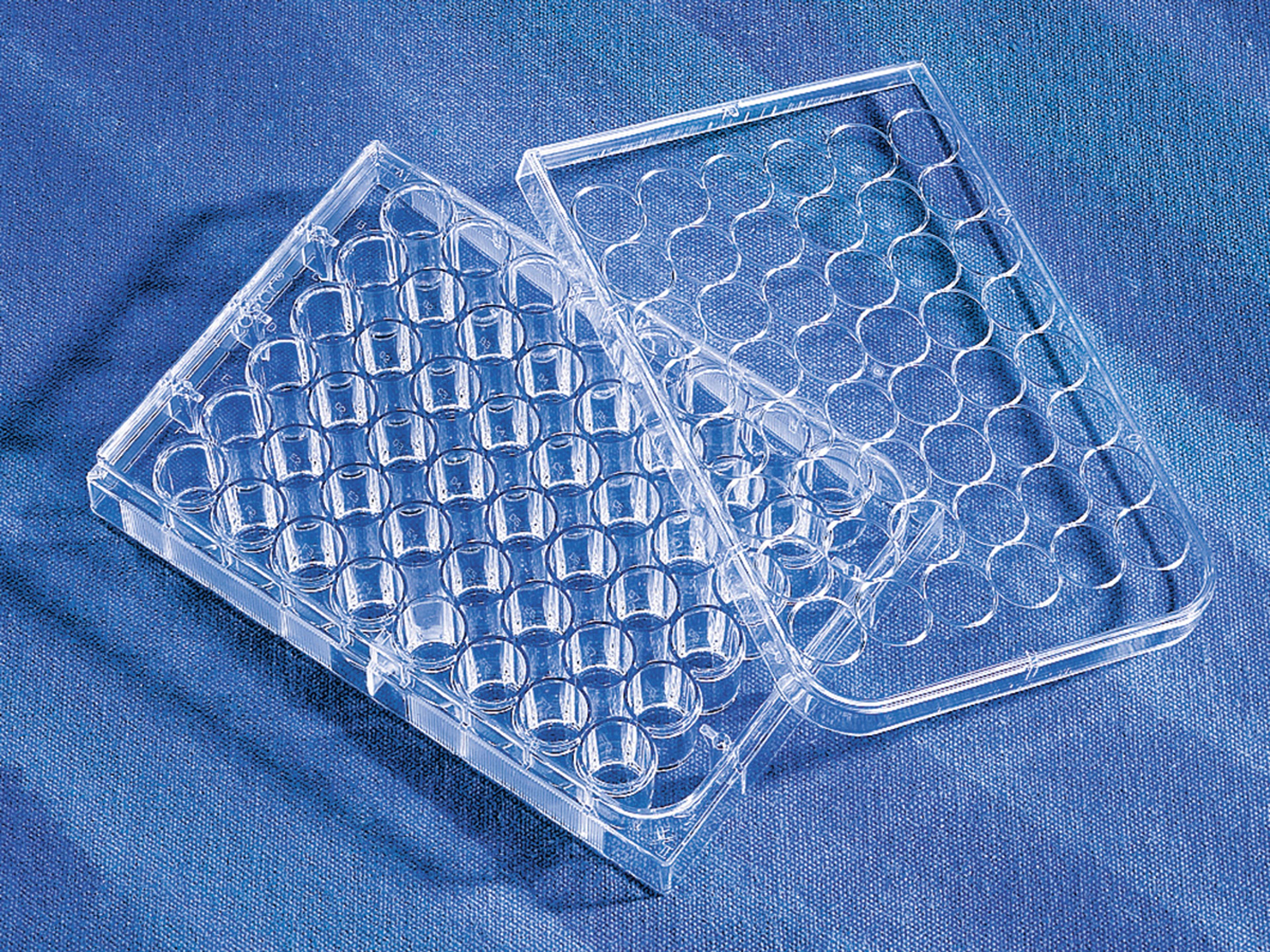Corning® CellBIND® 48-well Multiple Well Plates, Flat Bottom, Clear, with Lid, Sterile - Corning Life Sciences - Life Sciences