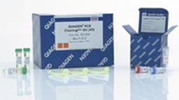 QIAGEN PCR Cloningplus Kit (10) - QIAGEN