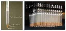 Biotage Miniprep PhyTip Columns for Plasmid DNA Purification - Biotage - Life Sciences