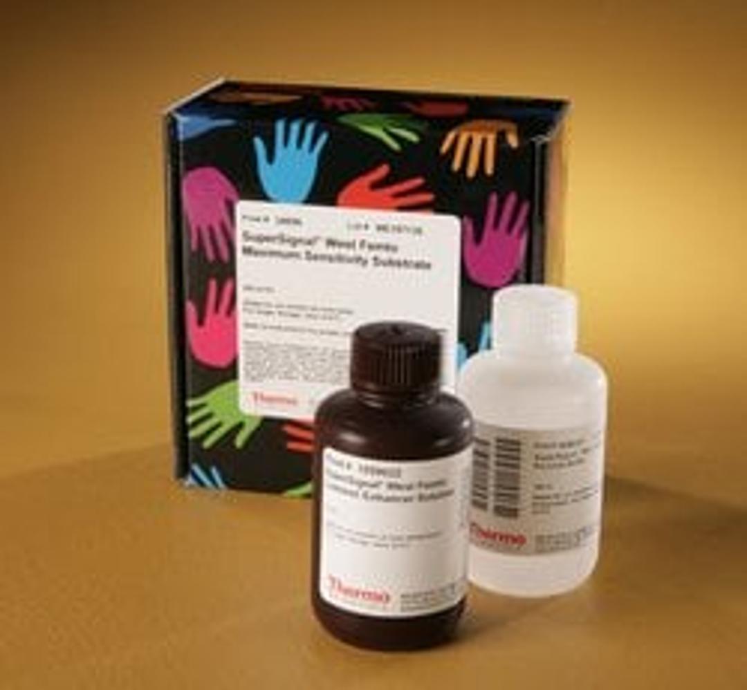 Thermo Scientific™ SuperSignal™ West Femto Maximum Sensitivity Substrate - Thermo Fisher Scientific - Life Sciences