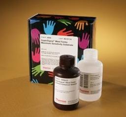 Thermo Scientific™ SuperSignal™ West Femto Maximum Sensitivity Substrate - Thermo Fisher Scientific - Life Sciences