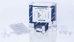 QIAamp DSP DNA FFPE Tissue Kit (50) - QIAGEN