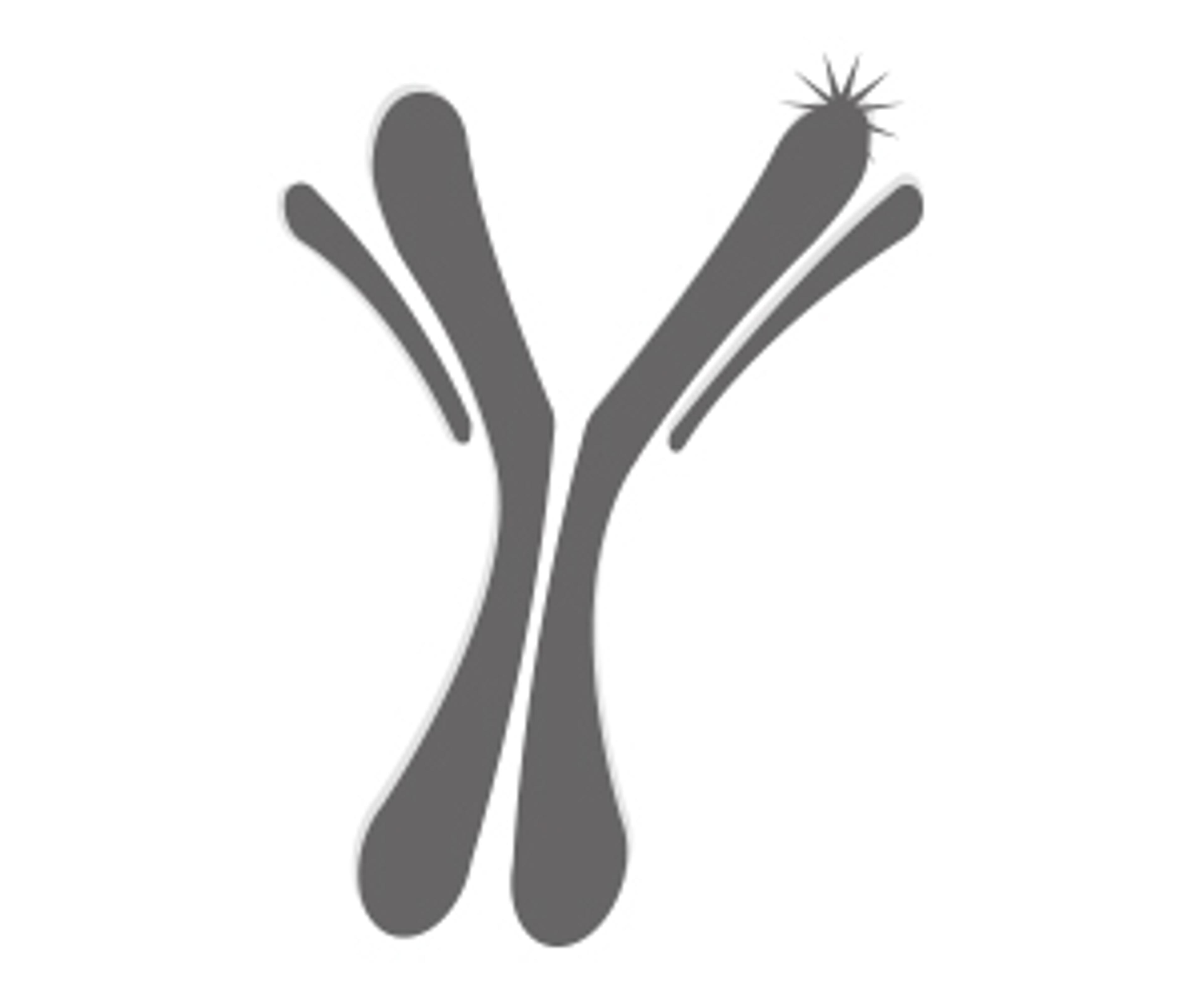 Epigenetics-grade antibodies for ChIP and ChIP-seq - Diagenode - Life Sciences