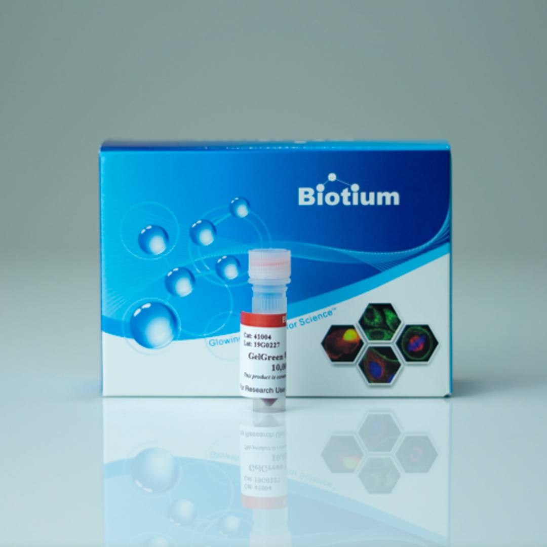 GelGreen® Nucleic Acid Gel Stain - Biotium - Life Sciences