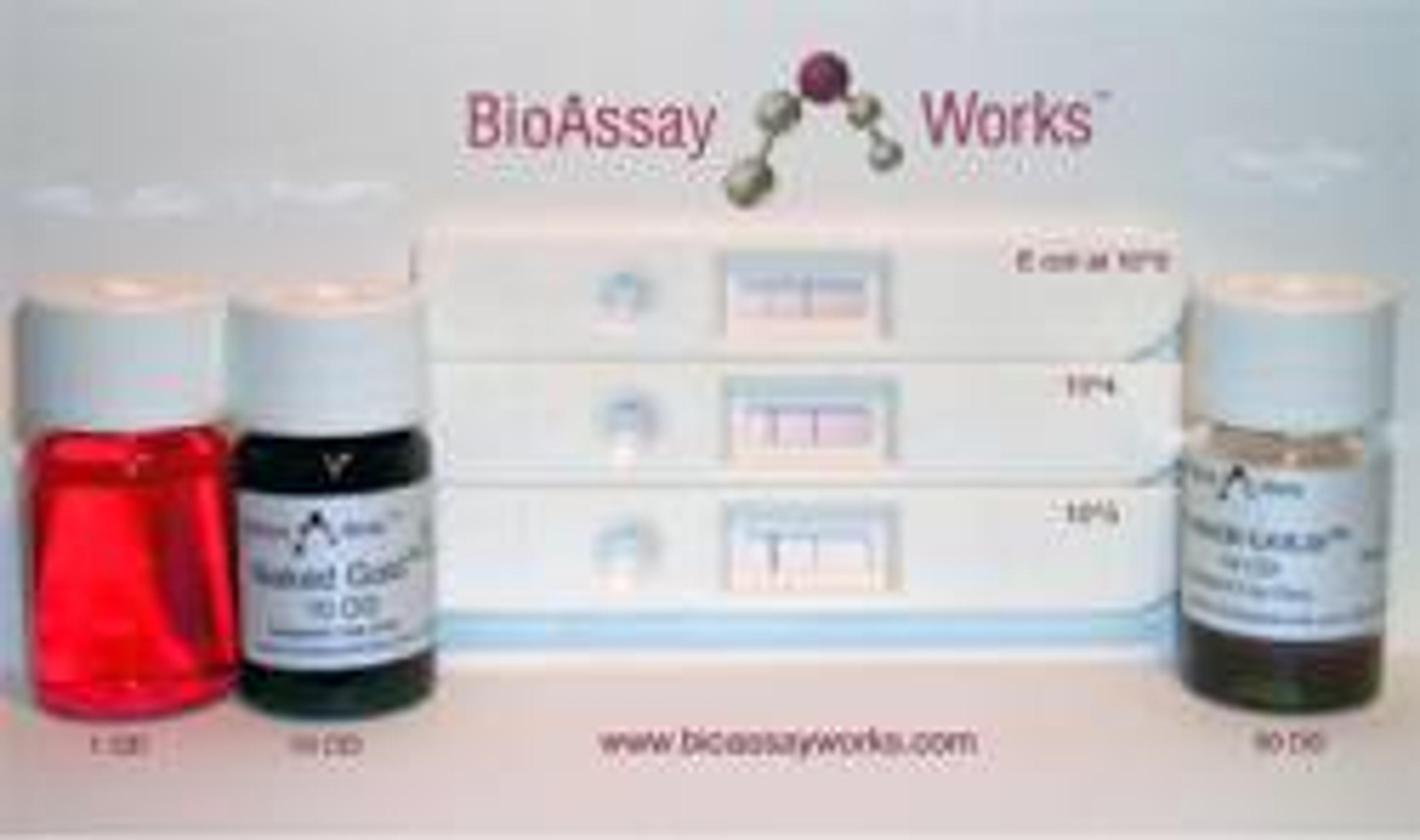 Assay Development - BioAssay Works, LLC - Life Sciences