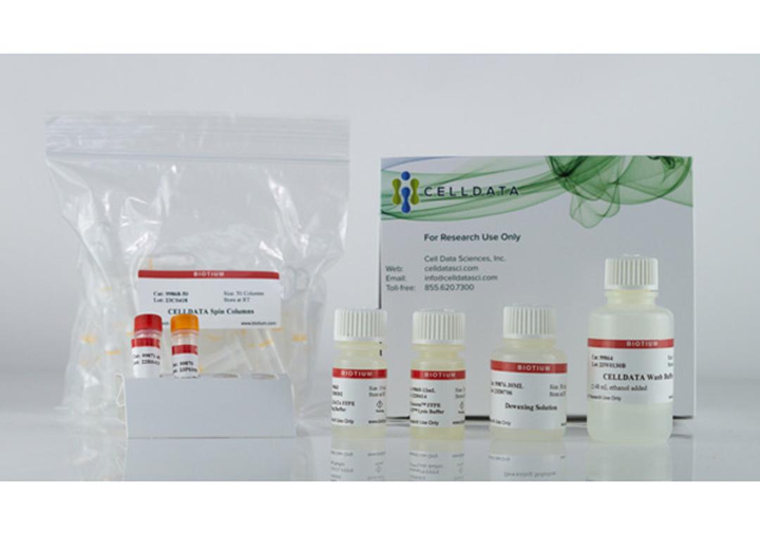 CELLDATA DNAstorm™ 2.0 FFPE DNA Extraction Kit - Biotium - Life Sciences