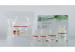 CELLDATA DNAstorm™ 2.0 FFPE DNA Extraction Kit - Biotium - Life Sciences