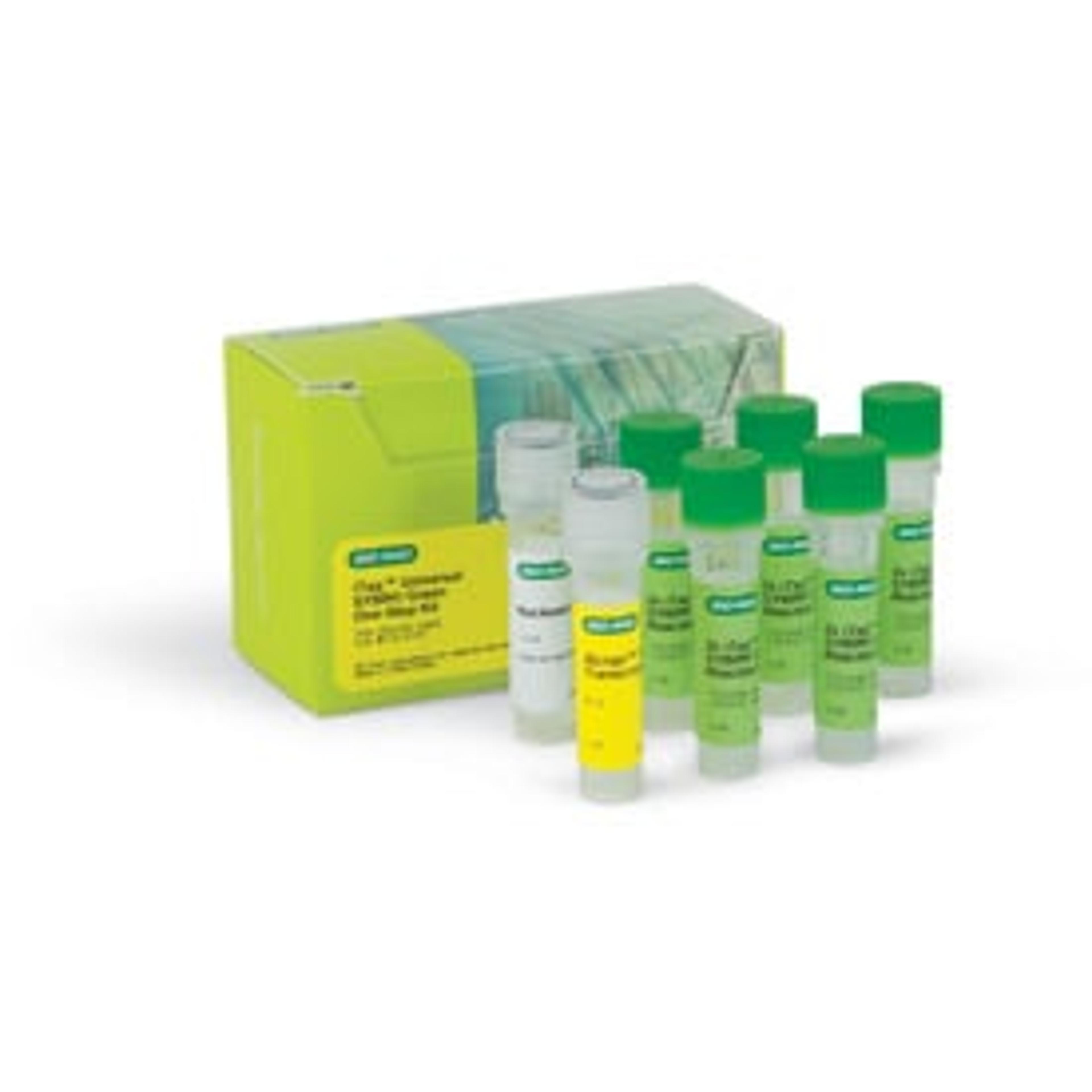 iTaq™ Universal SYBR® Green One-Step Kit, 500 x 20 µl rxns, 5 ml (5 x 1 ml) - Bio-Rad - Life Sciences