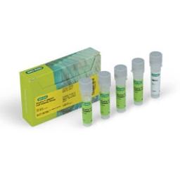 VivaFix™ 498/521 Cell Viability Assay - Bio-Rad - Life Sciences