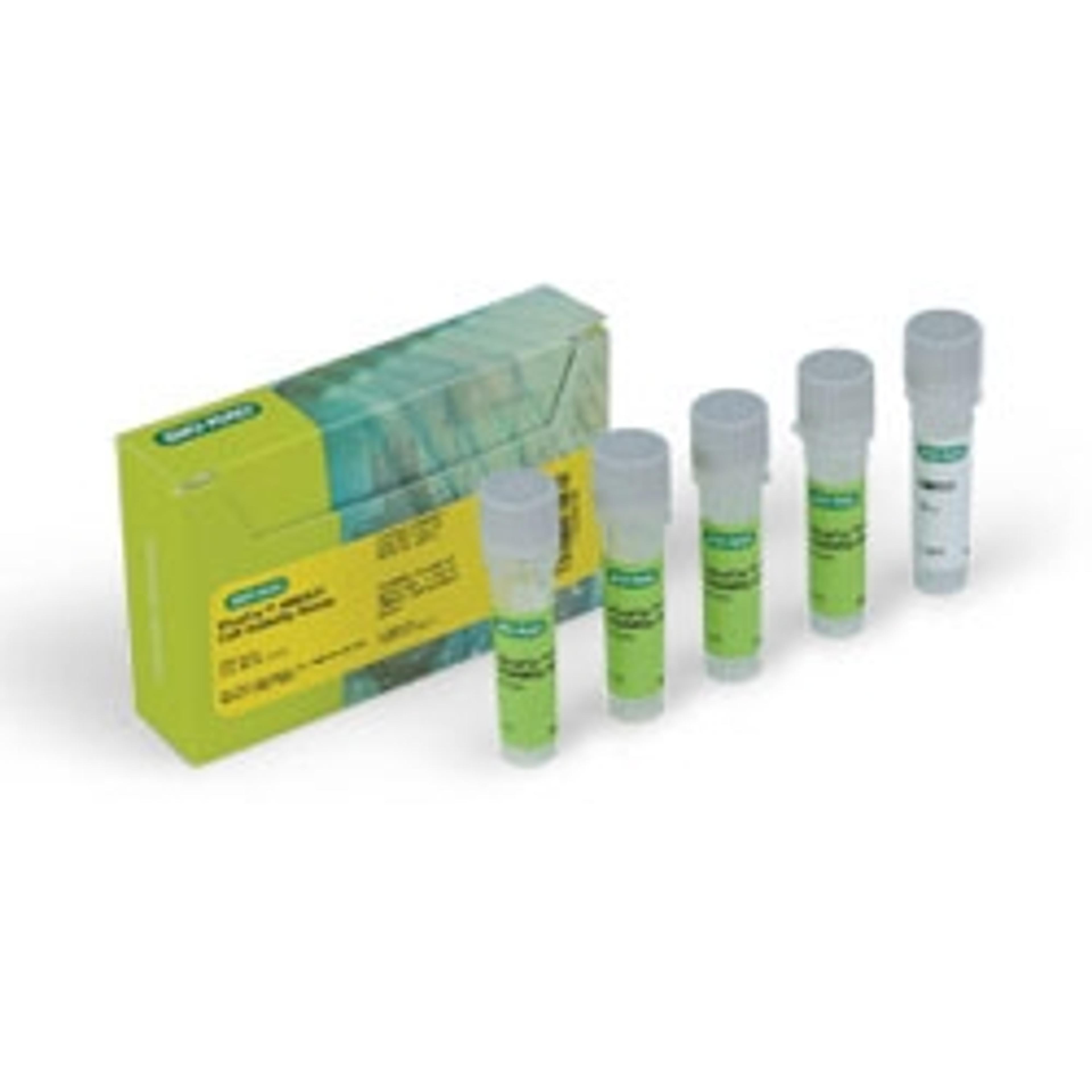 VivaFix™ 498/521 Cell Viability Assay - Bio-Rad - Life Sciences