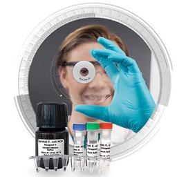 Gyrolab® E. coli HCP Kit - Gyros Protein Technologies - Life Sciences