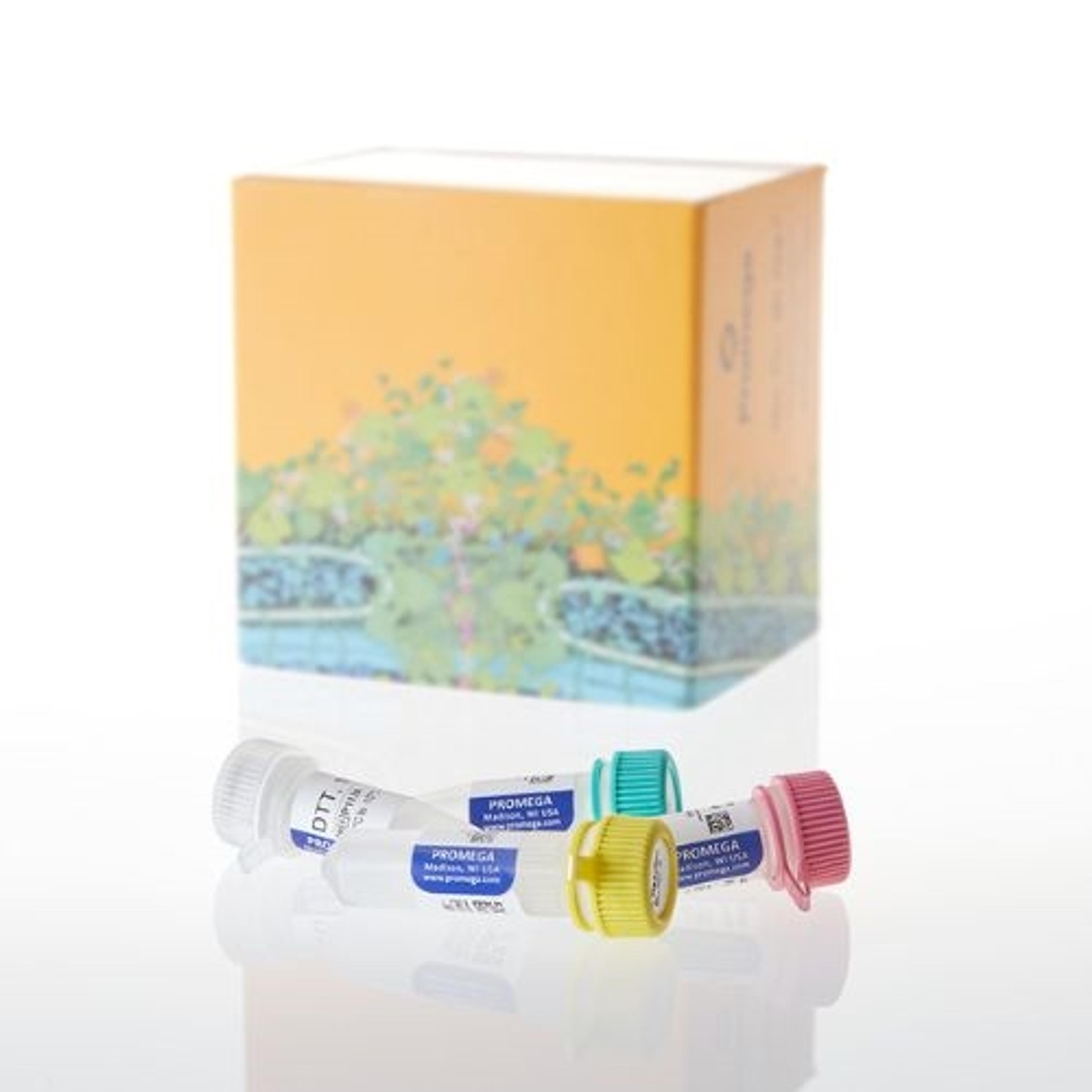 PKA Kinase Enzyme System - Promega Corp. - Life Sciences