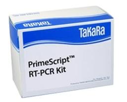 PrimeScript™ RT-PCR Kit - Takara Bio - Life Sciences