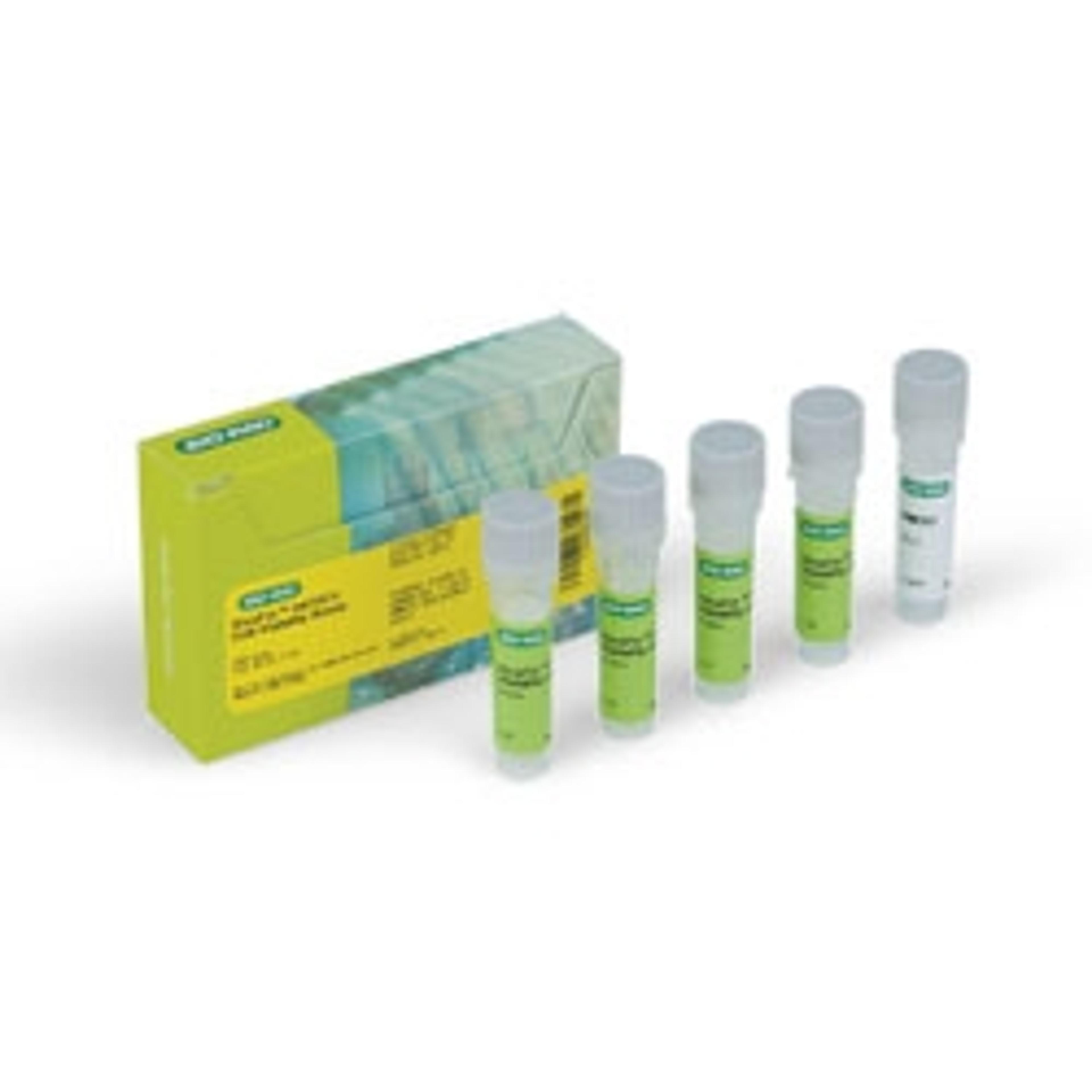 VivaFix™ 547/573 Cell Viability Assay - Bio-Rad - Life Sciences