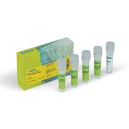 VivaFix™ 547/573 Cell Viability Assay - Bio-Rad - Life Sciences
