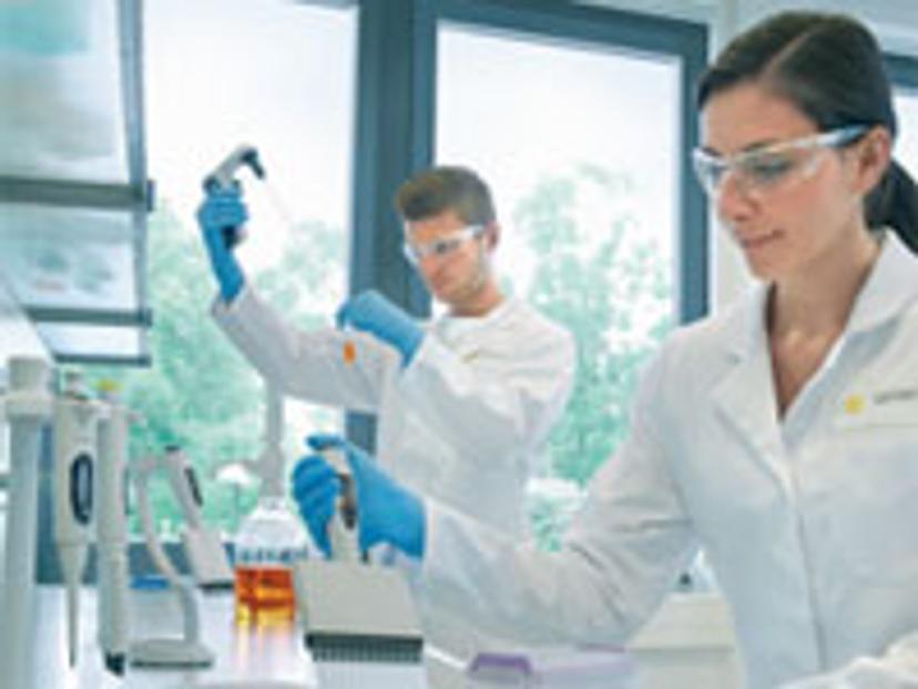 Scientists using pipettes in lab