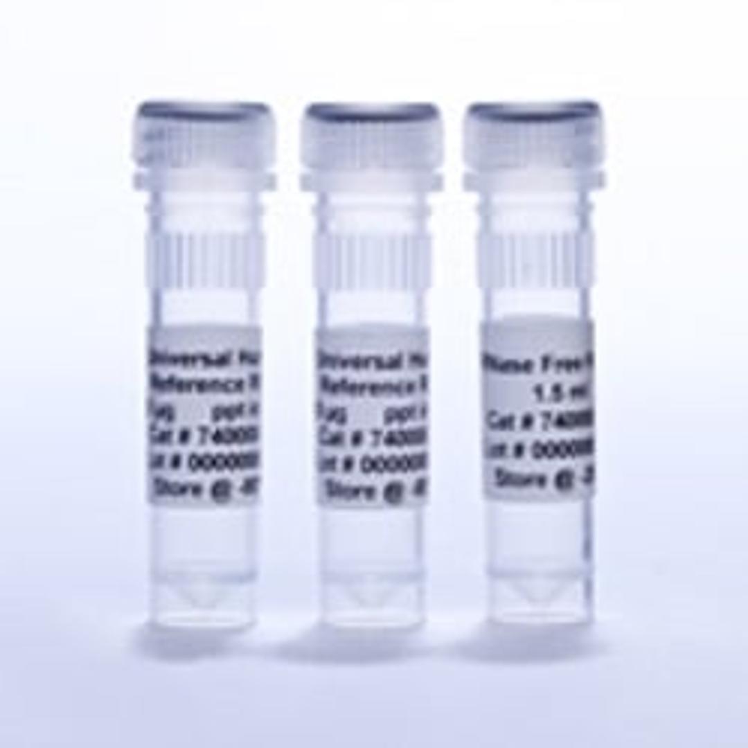 Universal Human Reference RNA, 2x200 µg - Agilent Technologies - Life Sciences