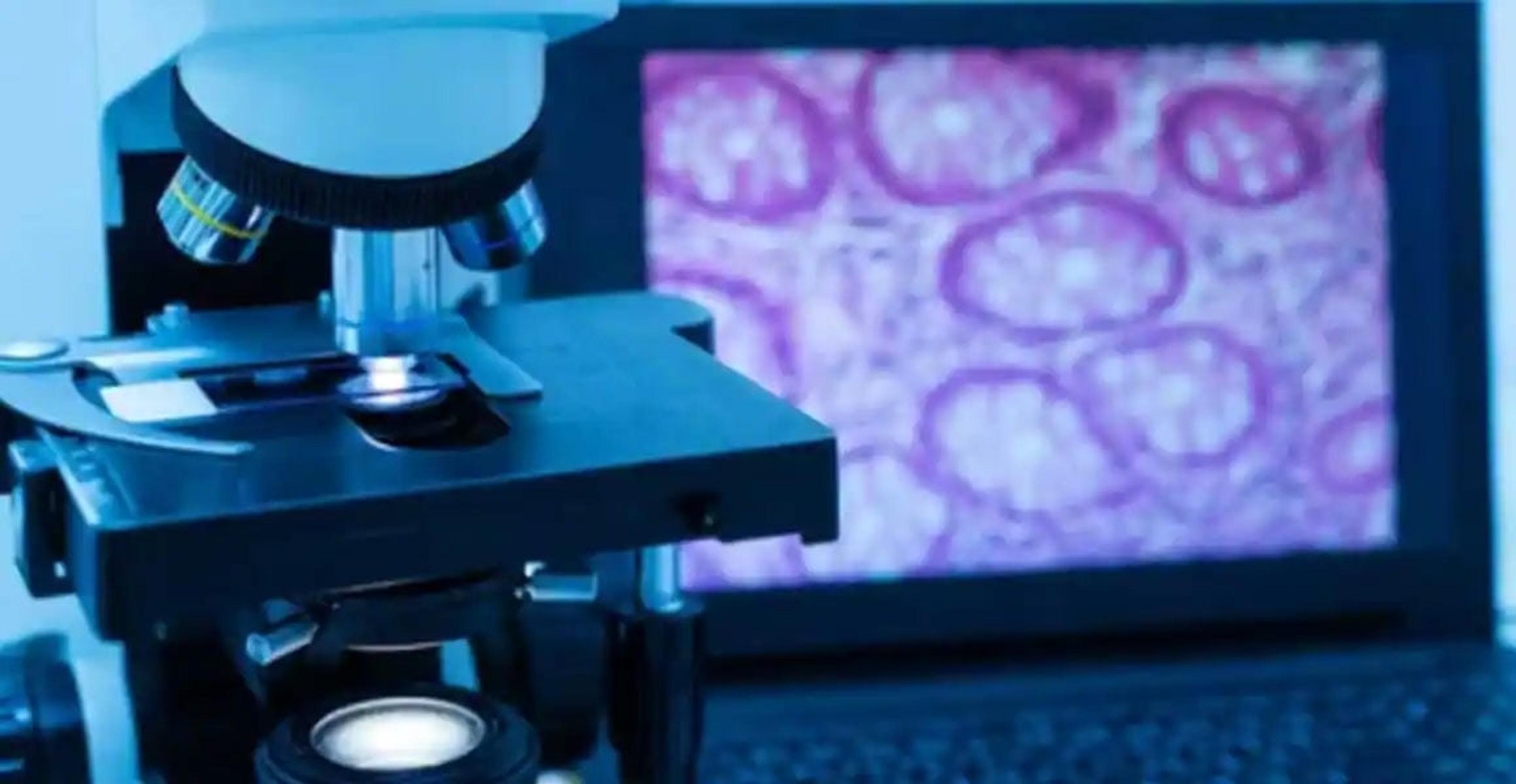 Amira Software - Thermo Fisher Scientific - Lab Automation