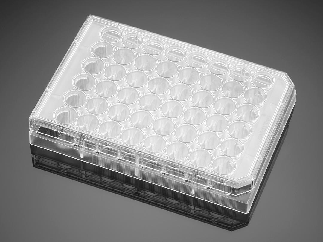 Falcon® 48-well Clear Flat Bottom TC-treated Multiwell Cell Culture Plate, with Lid, Sterile, 6/Pack, 36/Case - Corning Life Sciences - Life Sciences