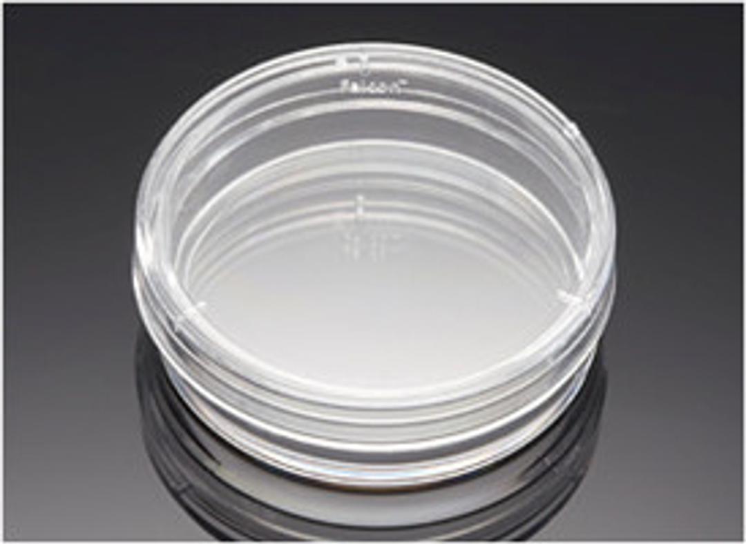 Corning® BioCoat™ Poly-L-Lysine 35 mm TC-treated Culture Dishes, 20/Pack, 100/Case - Corning Life Sciences - General Lab