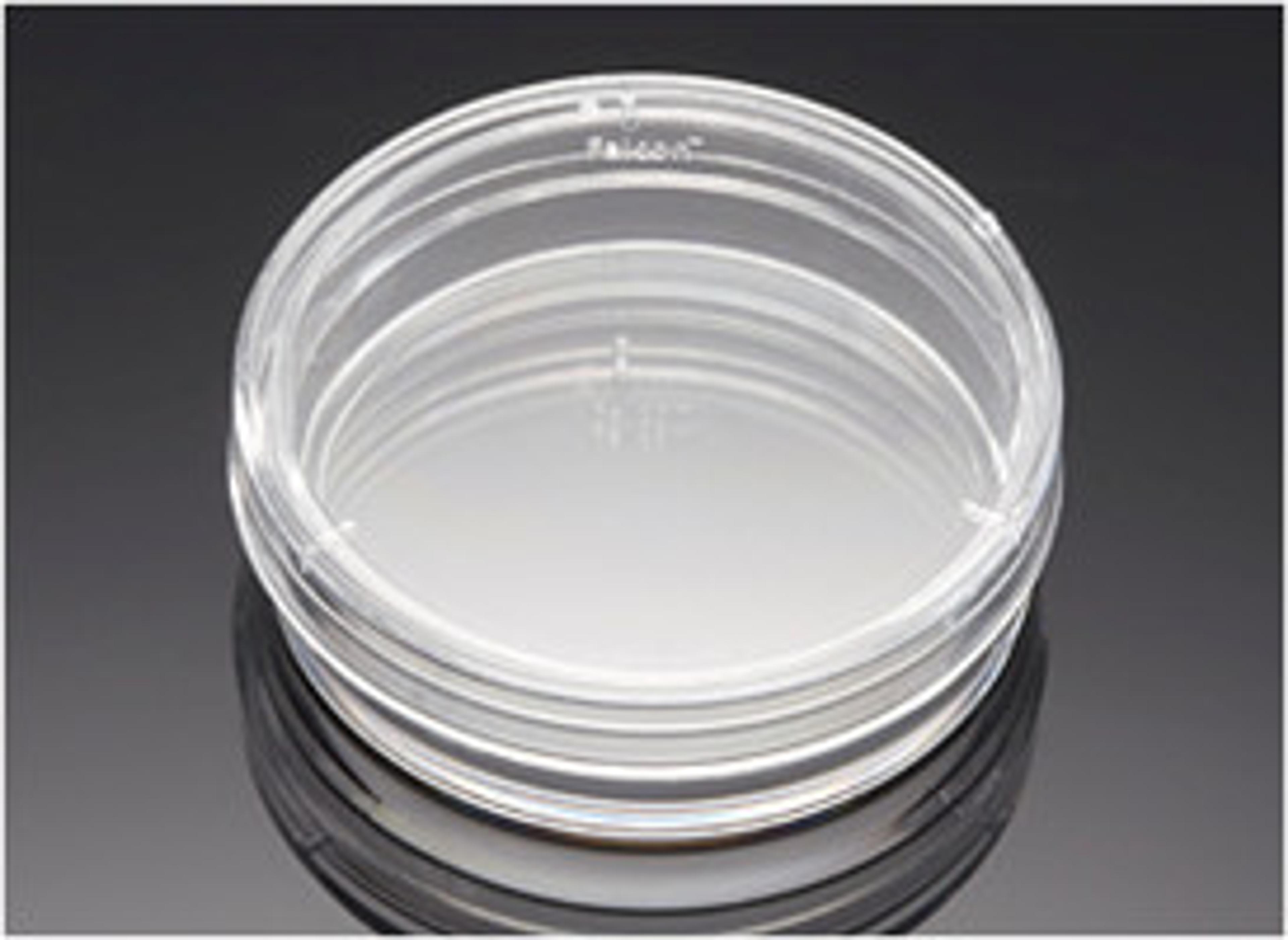 Corning® BioCoat™ Poly-L-Lysine 35 mm TC-treated Culture Dishes, 20/Pack, 100/Case - Corning Life Sciences - General Lab