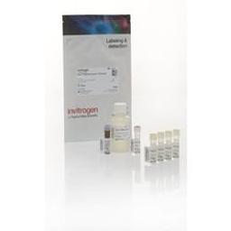 Qubit™ RNA HS Assay Kit - Thermo Fisher Scientific - Life Sciences